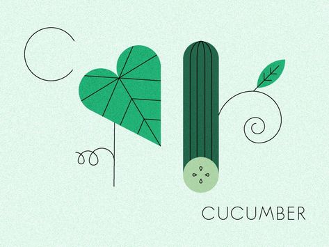 Summer Produce by Sara Nicely on Dribbble Plant Graphic, Summer Produce, Illustration Food, Food Illustration, Silver Spring, Flat Illustration, Food Illustrations, Seville, Cucumber