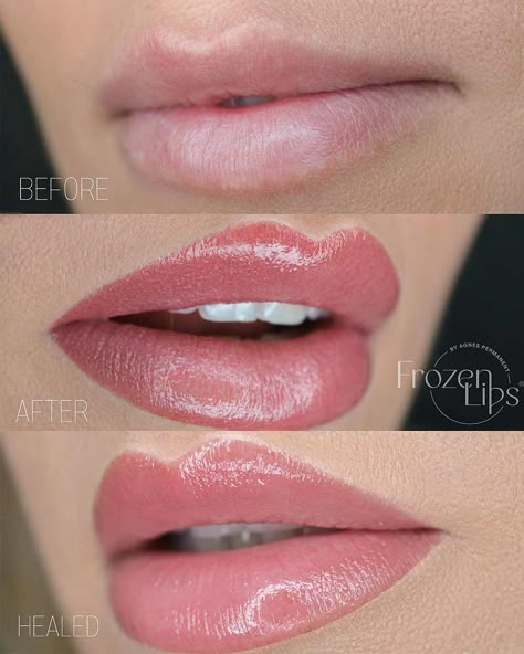 Lip Blush Permanent Makeup, Lip Blushing Color Chart, Lip Blushing Tattoo Colors Mauve, Pink Lip Blush, Lip Blush Color Chart, Lip Blushing Tattoo Colors Natural, Lip Blushing Colors, Lip Tattoo Cosmetic, Permanent Lip Color Tattoo