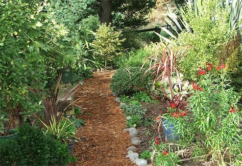 mulch - how easy! Mulch Pathway, Female Gardener, Mulch Garden, Yard Path, Diy Path, Rock Yard, Lawn Ideas, Pathway Ideas, Garden Mulch