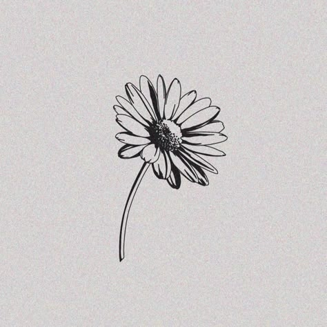 Paradox Tattoo, Tiny Flower Tattoos, Daisy Drawing, Sticker Sleeve, Botanical Tattoos, Sunflower Girl, Daisy Tattoo, Tattoo Desings, Dainty Tattoos