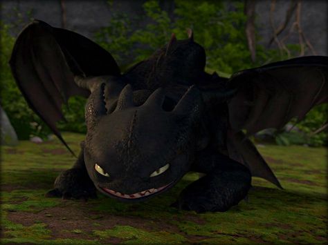 toothless scary my little brother Toothless Wallpaper, Httyd Toothless, Jay Baruchel, Toothless Night Fury, Httyd Hiccup, Night Fury Dragon, Dragon Icon, Httyd Art, Toothless Dragon