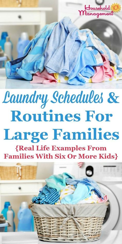 Organizing Laundry For Large Family, Large Family Laundry System, Laundry System For Large Family, Large Family Organization, How To Remove Kitchen Cabinets, Domestic Science, Laundry Schedule, Laundry Tips And Tricks, Laundry System