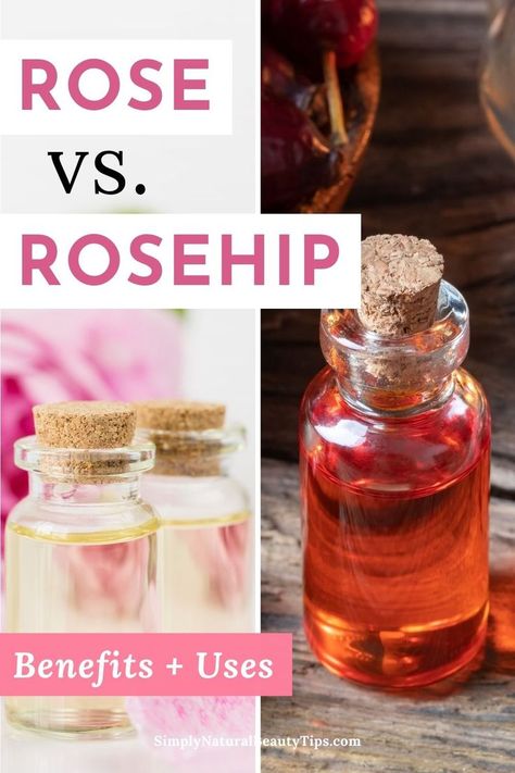 Even though they both come from rose plants, rose oil and rosehip oil have very different purposes in a natural skincare routine. This article highlights the benefits of rosehip oil, the benefits of rose essential oil and how to use them effectively. So whether you need a natural oil for acne prone skin, dark spots or stretch marks, read this for helpful tips. Rose Oil For Hair Growth, Rose Hip Oil Benefits, Rose Essential Oil Recipes, Rosehip Oil Recipes, Rose Oil Diy, Rose Essential Oil Benefits, Benefits Of Rose Oil, Rose Oil Benefits, Rosehip Oil For Face