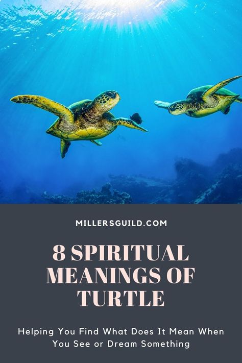 8 Spiritual Meanings of Turtle Turtle Tattoo Meaning, Animals Symbolism, Sea Turtle Tattoos, Turtle Meaning, Hawaiian Turtle Tattoos, Turtle Spirit Animal, Turtle Symbolism, Turtle Quotes, Sea Turtle Pictures