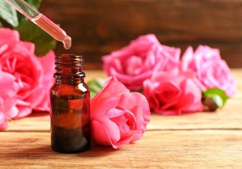 How To Make Essential Oils At Home | Homesteading Skills Diy Peony, Learning Herbs, Homemade Essential Oils, Making Essential Oils, How To Make Oil, Cosmetic Logo, Homesteading Skills, Essential Oil Benefits, Organic Cosmetics