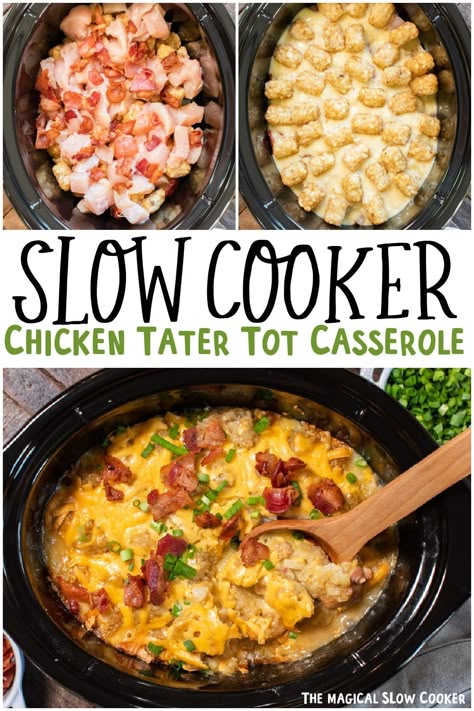 Make tater tot casserole with chicken and bacon in the slow cooker! This meal just needs 5 hours for the best tater tot casserole you will ever have! - The Magical Slow Cooker Crockpot Tator Tot Casserole Chicken, Tater Tot Chicken Crock Pot, Crockpot Tater Tot Casserole Chicken, Slow Cooker Chicken Tater Tot Casserole, Tater Tot Casserole Slow Cooker, Crockpot Chicken And Tater Tots Recipes, Crockpot Recipes With Tater Tots, Chicken Tater Tot Casserole Crock Pot, Slow Cooker Tator Tot Casserole