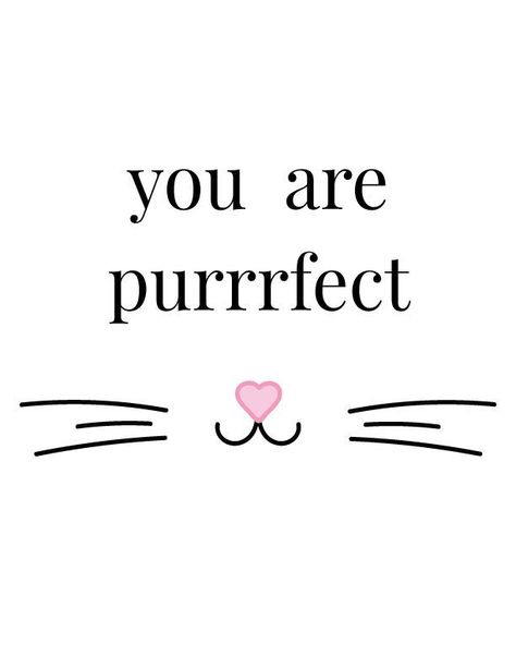 Meow Quotes Words, Cat Motivational Quotes, Cat Aesthetic Quotes, Cat Card Ideas, Cat Quotes Love, Cat Person Quotes, Quotes For Cats, Cat Lover Quotes, Meow Quotes