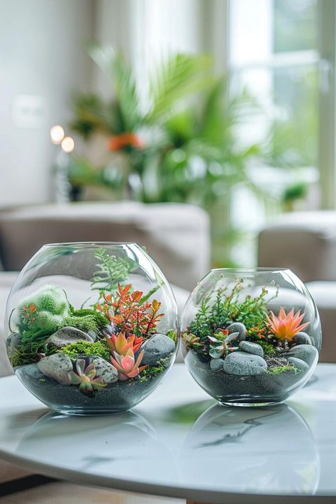 Terrarium Building: A Complete Guide Mini Ecosystem, Garden Bowl, Tropical Terrariums, Open Terrariums, Terrarium Ideas, Goldfish Bowl, Mini Terrarium, Terrarium Containers, Farmhouse Landscaping