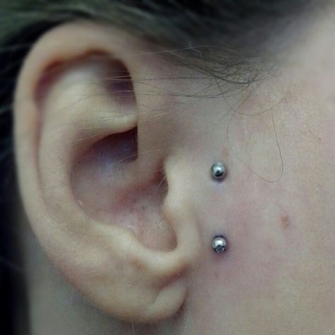 Vertical tragus piercing Vertical Tragus Piercing, Tragus Piercings, Tragus, Piercings