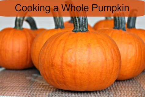 Pumpkins 1 Roast Whole Pumpkin, Pumpkin Drink Recipes, Whole Pumpkin, Vegetable Bake, Pumpkin Pasta Sauce, Pumpkin Drinks, Savory Pumpkin Recipes, Cooking Pumpkin, Yummy Fall Recipes