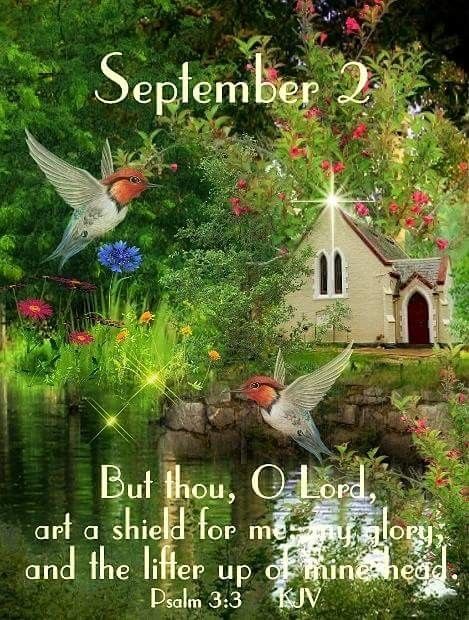 September 2~~J~ Psalm 3:3 September Scripture, September Blessings, September Days, December Scriptures, September Images, September Quotes, Psalm 71, Good Morning Facebook, September Calendar