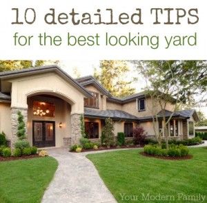 green lawn care tips to have the best looking lawn! Completed Bucket List, Lawn Care Tips, The Bucket List, Green Lawn, Green Grass, Yard Landscaping, Lawn Care, First Home, Curb Appeal