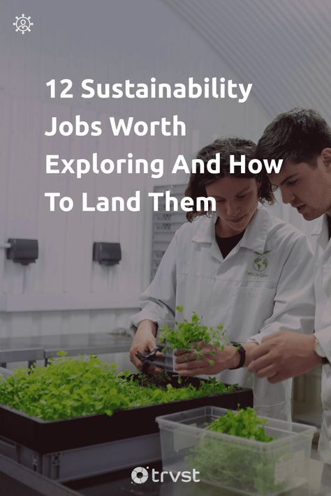 🌎💼 Explore ways your passion for the planet can define your profession.👩‍🔬👨🏽‍💼 With 12 rewarding green jobs, your career can leave a positive impact. Discover myriad roles from conservation analyst to sustainability marketer and start a greener journey today! 💚🌳 #GreenJobs #Sustainability #EcoFriendlyCareers #CareerChange #MakeADifference Environmental Studies Aesthetic, Graduate Early, Green Jobs, Environmental Scientist, Online Conference, Sustainable Transport, Environmental Engineering, Environmental Problem, Transportation Engineering