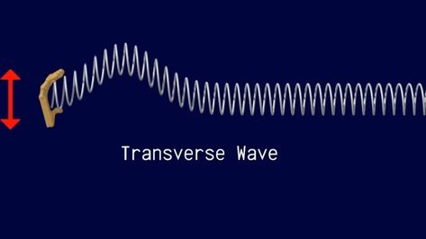 The video shows a hand making longitudinal and transverse waves on a slinky. The audio describes longitudinal and transverse wave characteristics. Transverse Wave, Longitudinal Wave, Citizen Science, Ministry Of Education, Hand Making, Learning Science, Student Work, Eden, Audio