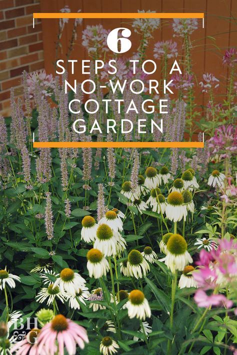 Low Maintenance Garden Design, Funny Vine, Cottage Garden Design, Cottage Garden Plants, English Cottage Garden, Cottage Gardens, Cut Flower Garden, Low Maintenance Garden, Have Inspiration