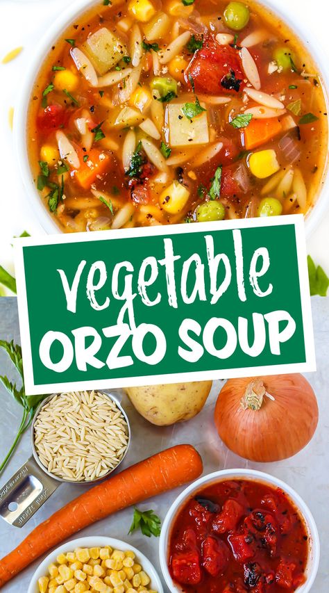 Vegetable Orzo Soup (Easy!) Roasted Tomato Vegetable Soup, Vegan Orzo Soup, Vegetable Orzo Soup, Vegetable Orzo, Vegan Weeknight Meals, Garden Grazer, Orzo Soup Recipes, Orzo Soup, Orzo Recipes