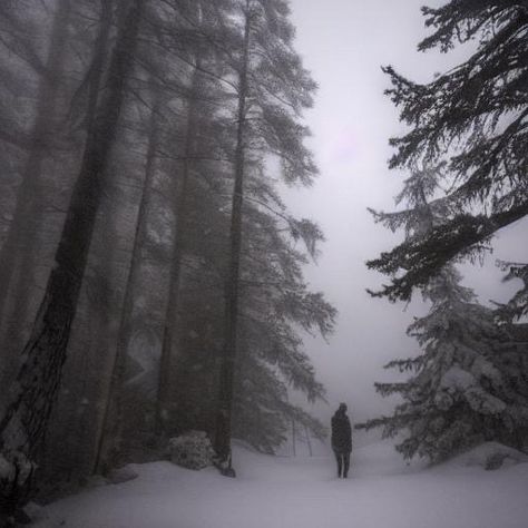 Creepy Snow Aesthetic, Horror Setting, Exorcist Oc, Snowy Cabin In The Woods, Wilderness Aesthetic, Scary Woods, Rabbit Meat, Snowy Cabin, Landscape Reference