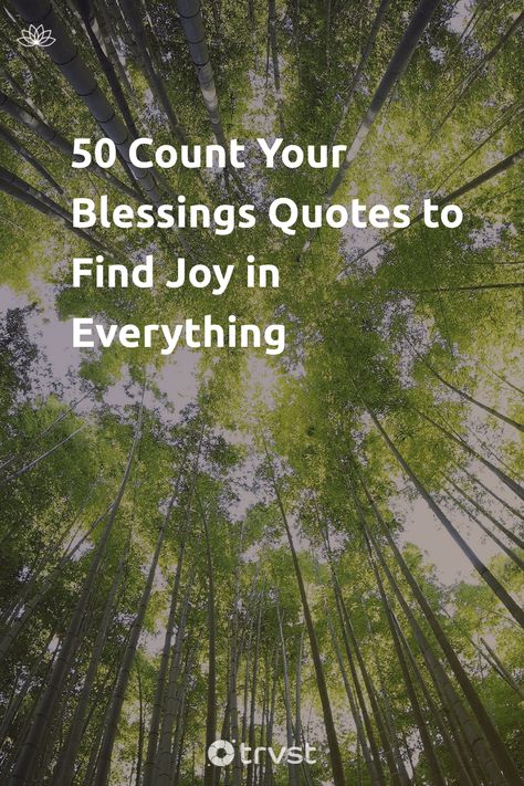 Blessed To Have You In My Life Quotes, Blessed Day Quotes Faith, God Bless Everyone Quotes, Count My Blessings Quotes, Grateful For Life Quotes, Quotes About Being Blessed, Quotes About Blessings, Count Your Blessings Quotes, Gods Blessings Quotes