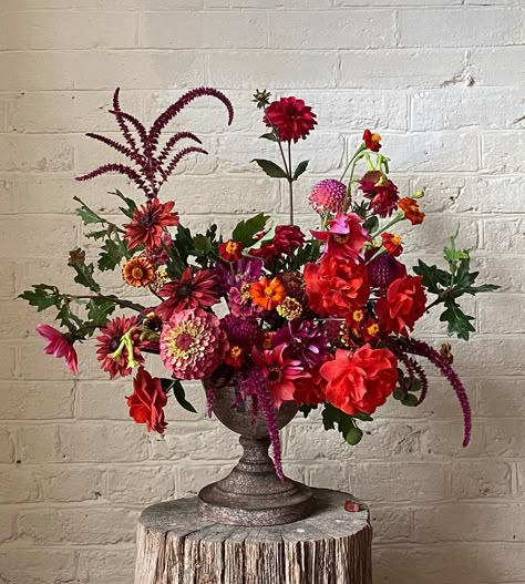 Dramatic Flower Arrangements, Purple And Red Floral Arrangements, Fruit And Flowers Arrangement, Red Purple Flowers Arrangement, All Red Flower Arrangements, Deep Red Flower Arrangements, Red Pink Purple Wedding Flowers, Dramatic Floral Arrangements, Red Pink Flower Arrangements