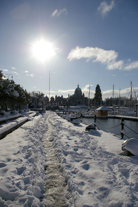 winter in Victoria BC: the inner harbour with snow Victoria Bc Winter, Victoria British Columbia, Night Video, Winter Vacation, British Columbia, Vancouver, Water