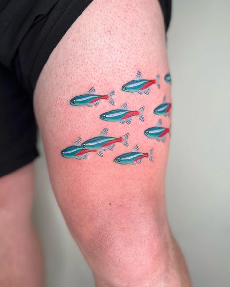 🐞🐛🐝LB🌷🦋🐸 в Instagram: «A school of neon tetras for Ian! Everyone please ask me to do tiny schools of fish forever. Great chatting art and life with you…» All Color Tattoo, Fish Sleeve Tattoo, Fish Tank Tattoo, Rainbow Fish Tattoo, Fish Bowl Tattoo, Two Fish Tattoo, Cool Fish Tattoo, Colorful Fish Tattoo, Fish Tattoo Color