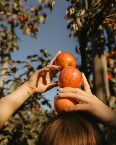 when you love someone to their core >> i know it's not fall or apple orchard photoshoot season yet, but i've been eating apples like crazy lately so this feels right 🤍 #anacortesphotographer #bellinghamphotographer #creativeportraits #seattlephotographer #pacificnorthwestphotographer #philchesterpresets Apple Garden Photoshoot, Orange Orchard Photoshoot, Apple Orchard Fall Photoshoot, Orange Grove Photoshoot, Apple Picking Instagram Pictures, Kjp Fall, Apples Pictures, Apple Orchard Aesthetic, Pottery Photoshoot