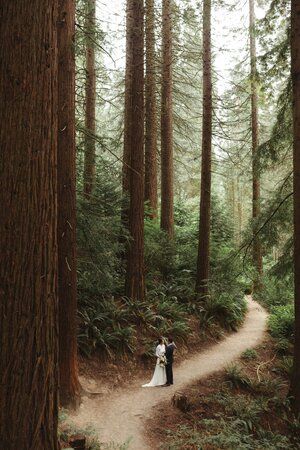 Color Theory Design, Redwood Deck, Hoyt Arboretum, Portland Wedding Venues, Redwood Decking, Redwood Wedding, Wedding Venues Oregon, Portland Oregon Wedding, Woodsy Wedding