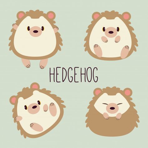 Collection of character cartoon of cute hedgehog with many action. sitting, sleeping Premium Vector Cute Hedgehog Drawing, Hedgehog Vector, Kawaii Hedgehog, Hedgehog Character, Hedgehog Drawing, Hedgehog Illustration, Character Cartoon, Cute Hedgehog, Hedgehogs