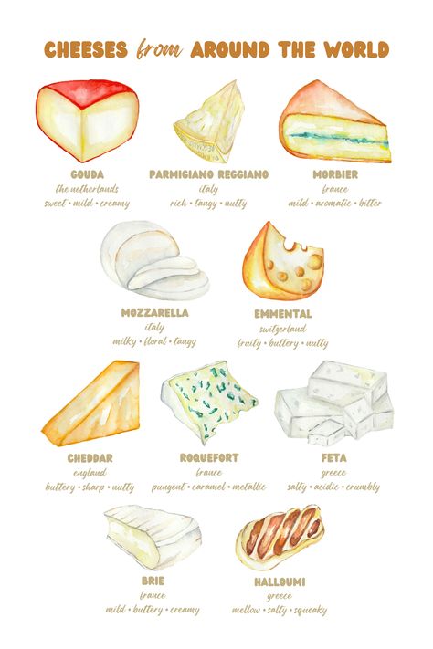 Type Of Cheese, Cheese And Meat Pairing Chart, Cheese Etiquette, Cheese Types Guide, Roquefort Cheese, Fancy Cheese, Cheese Cultures, Types Of Cheese, Nail Care Tips