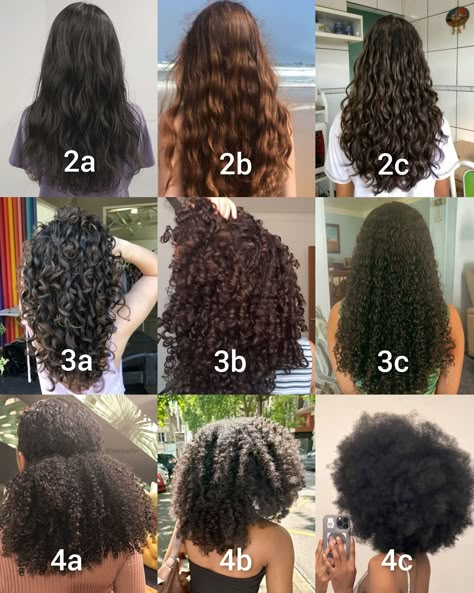 Hair type 2: 2a, 2b, 2c (wavy)  Hair type 3: 3a, 3b, 3c (curly)  Hair type 4: 4a, 4b, 4c (coily/kinky) B3 Curly Hair Hairstyles, 3 Curly Hair Type, Curly Hair Texture Chart, Different Hair Textures Chart, How To Care For 2b Hair, Hair Chart Type, 2 B Hair Type, 4b Natural Braided Hairstyles, 2b Hair Type Hairstyles