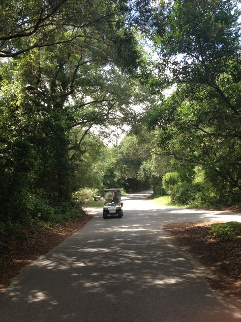 Bald Head Island, NC, driving around on golf carts Bald Head Island Nc, Island Beach House, Bald Head Island, Going Bald, Coastal Carolina, Bald Hair, Historical Places, Bald Head, Bald Heads