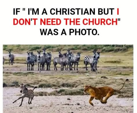 Jesus Jokes, Bible Jokes, Funny Christian Jokes, Catholic Humor, Church Humor, Catholic Memes, Jesus Memes, Christian Jokes, Bible Humor