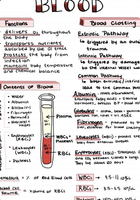 Medicine Study Notes, Biology Corner, Mortuary Science, Anatomy Notes, Nurse Study, Basic Anatomy, Medical Notes, Nursing School Essential, Allied Health