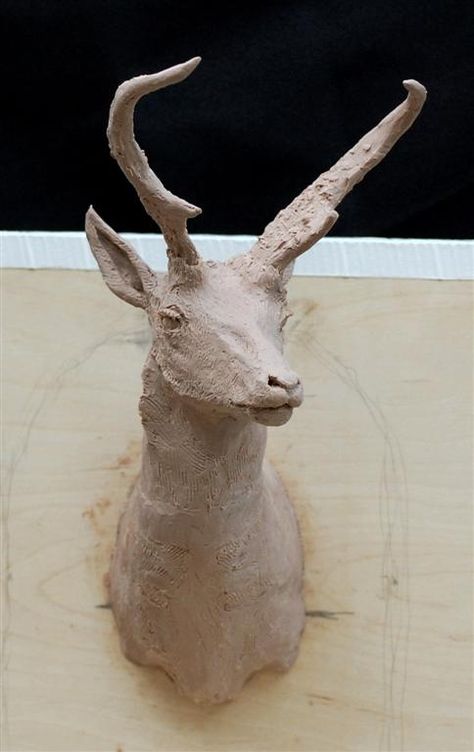 Clay model for limited edition bronze sculpture of a record antelope by J.P. Childress. This deer held the Texas Boone & Crockett record for many years. Clay Deer Sculpture, Modeling Clay Sculpture, Clay Deer, Deer Sculpture, Clay Models, Clay Model, Pottery Animals, Hand Built Pottery, Collaborative Art