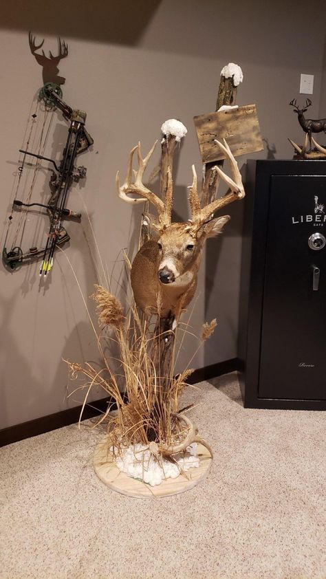 European Deer Mount Ideas, Deer Pedestal, Buck Mounts, Hunting Rooms, European Deer Mount, Hunting Room Ideas, Deer Shoulder Mount, Deer Mount Decor, Deer Skull Decor