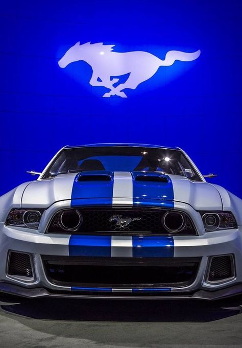 Ford Mustang: Need For Speed Movie, Mustang Wallpaper, Mustang Car, Ford Mustang Car, Ford Mustang Shelby Gt500, Shelby Gt500, Ford Mustang Shelby, Mustang Cars, Mustang Shelby