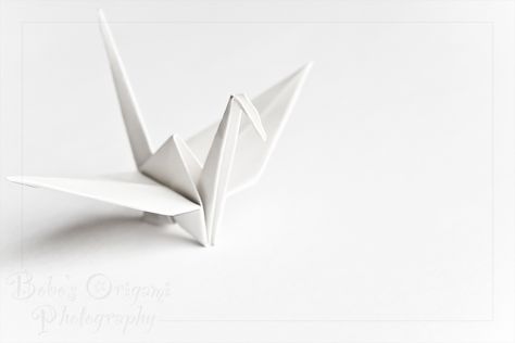 Aesthetic Origami, Origami Photography, Origami White, Kubo And The Two Strings, Nate River, Neal Caffrey, Origami Ideas, Origami Bird, Kagerou Project