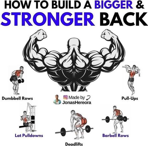 Back Workout Challenge, Push Pull Workout, Back Workout Routine, Traps Workout, Back Day Workout, Good Back Workouts, Work Out Routines Gym, Bodybuilding Workouts Routines, Dumbell Workout