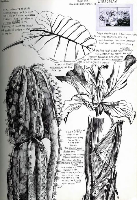 observational drawing of plants - Iris Cheung, IB Art Plants Sketchbook, Observational Drawings, Ib Art Process Portfolio, Drawings Of Plants, Observational Drawing Sketchbook, Ib Art, Natural Form Art, Sketchbook Layout, A Level Art Sketchbook