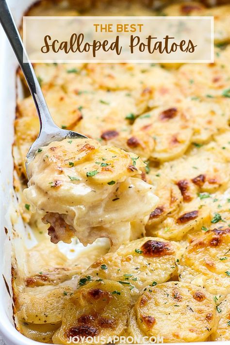 Scalloped Potatoes - the BEST cheesy potato side dish for your Thanksgiving and Christmas holiday dinners. Potatoes are tender and oven baked in a casserole. The classic comfort food for the Fall and winter! Scalloped Potatoes Christmas, Holiday Scalloped Potatoes, Casserole Dish Meals, Christmas Food Recipes Side Dishes, Casserole Recipes For Dinner Potato, Best Potatoes For Scalloped Potatoes, Potato Scallops Recipe, Cheese Garlic Scalloped Potatoes, Best Scalloped Potatoes Ever