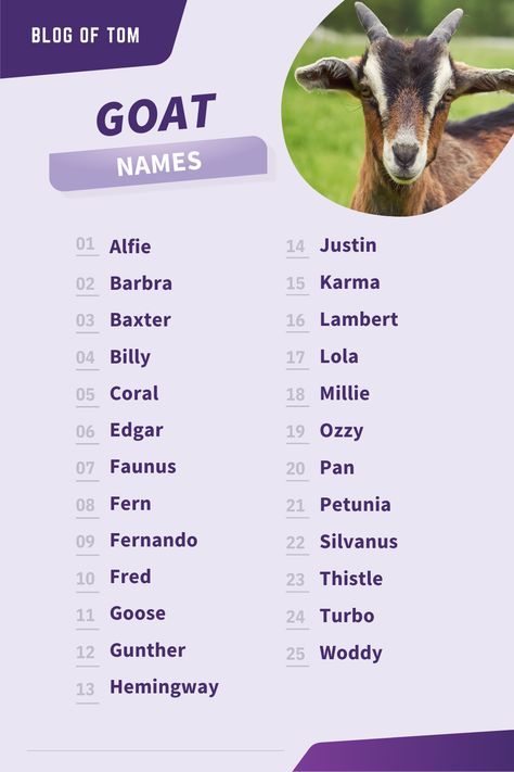 Looking for a unique name for your goat? We've got you covered! This list includes both funny and cute names for goats of all genders. So whether you're looking to get creative or just need a good laugh, we've got the perfect goat name for you. #goatnames Name For Both Genders, Cute Funny Names, Cow Names Ideas, Goat Names List Of, Goat Names, Names For Farms, Farm Names, Animal Names, Goat Information