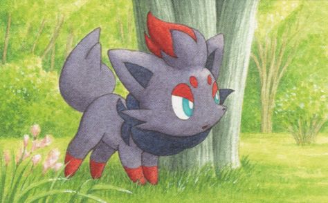 Pokemon Zorua, Zorua Pokemon, Pokemon Banner, Pokemon Zoroark, Angel Guard, Wild Pokemon, I Choose You, Trading Card Game, Pokemon Trading Card Game