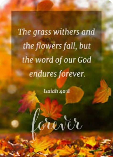 The grass withers and the flowers fall, but the word of our God endures forever.  ~ ISAIAH 40:8 NIV Fall Bible Verses, Hope In Jesus, Thanksgiving Blessings, Bible Quotes Images, Blessed Quotes, Encouraging Scripture, Daily Scripture, Autumn Quotes, Blessed Life