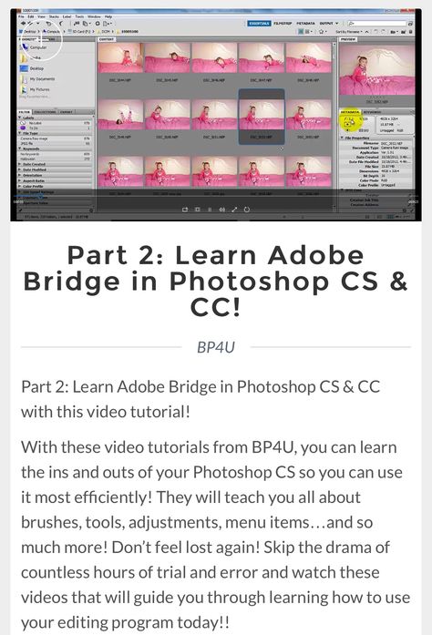 Part 2: Learn Adobe Bridge in Photoshop CS & CC! Adobe Photoshop Cs6 Tutorial, Adobe Bridge, Lightroom Tips, Adobe Software, Feel Lost, Ins And Outs, Photography Marketing, Feeling Lost, Photoshop Cs6