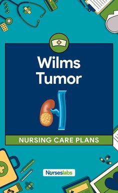 4 Wilms Tumor (Nephr 4 Wilms Tumor (Nephroblastoma) Nursing Care Plans Wilms Tumor, Nursing School Clinicals, What Is Nursing, Nurse Practitioner School, Nursing School Prerequisites, Nursing Care Plan, Neonatal Nurse, Medical Surgical Nursing, Best Nursing Schools