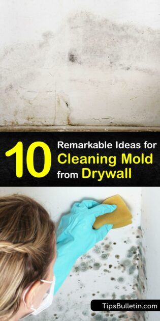 Eliminate Drywall Mold - Guide to Remove Mildew from Drywall How To Put Up Sheet Rock, Best Mold And Mildew Remover, Black Mold Removal Drywall, Mold Removal From Walls, Kill Mold On Walls, How To Remove Mold From Walls, Remove Mold From Ceiling Bathroom, Mold Remediation Diy, Black Mold Removal Bathroom