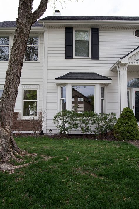 The Front Yard: Before Landscape Bay Window Front Yard, Bay Window Landscaping, Annuals In Pots, Sunroom Windows, Single Hung Windows, River Birch, Japanese Beetles, Front Landscaping, Dead Space