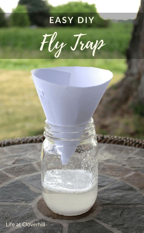 Easy DIY Fly Trap - Ideas for the Home How To Trap Flies In The House, Keep Flies Out Of House, Fly Traps Homemade Diy Outdoor, House Fly Trap Homemade, Diy Fly Repellent Outdoor, Get Rid Of Flies In House, Fly Catcher Diy, How To Keep Flies Out Of Your House, Diy Fly Trap Indoor