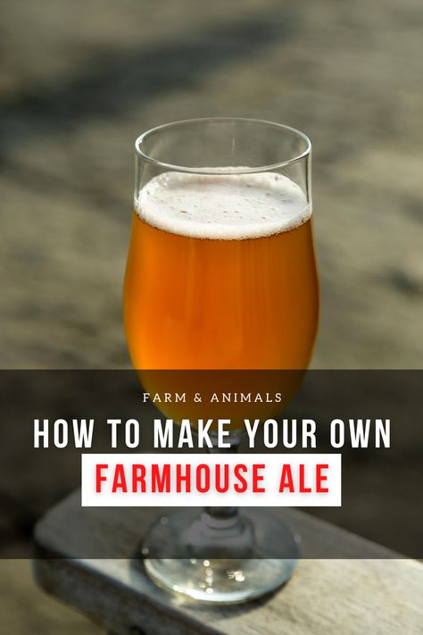 Home Brew Recipes Beer, Home Beer Brewing, Medieval Thanksgiving, Brewing Beer At Home, How To Brew Beer, Beer Recipes Homebrew, Octoberfest Beer, Craft Beer Recipes, Beer Brewing Recipes