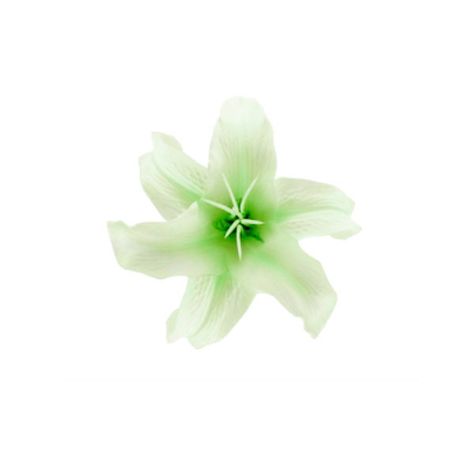 Green Icon White Background, Green Transparent Icon, Pastel Green Png Icons, Green Flower Icon, Green Objects Aesthetic Png, Icons Verdes, Green Pngs, Genshin Widget, Flowers Icon